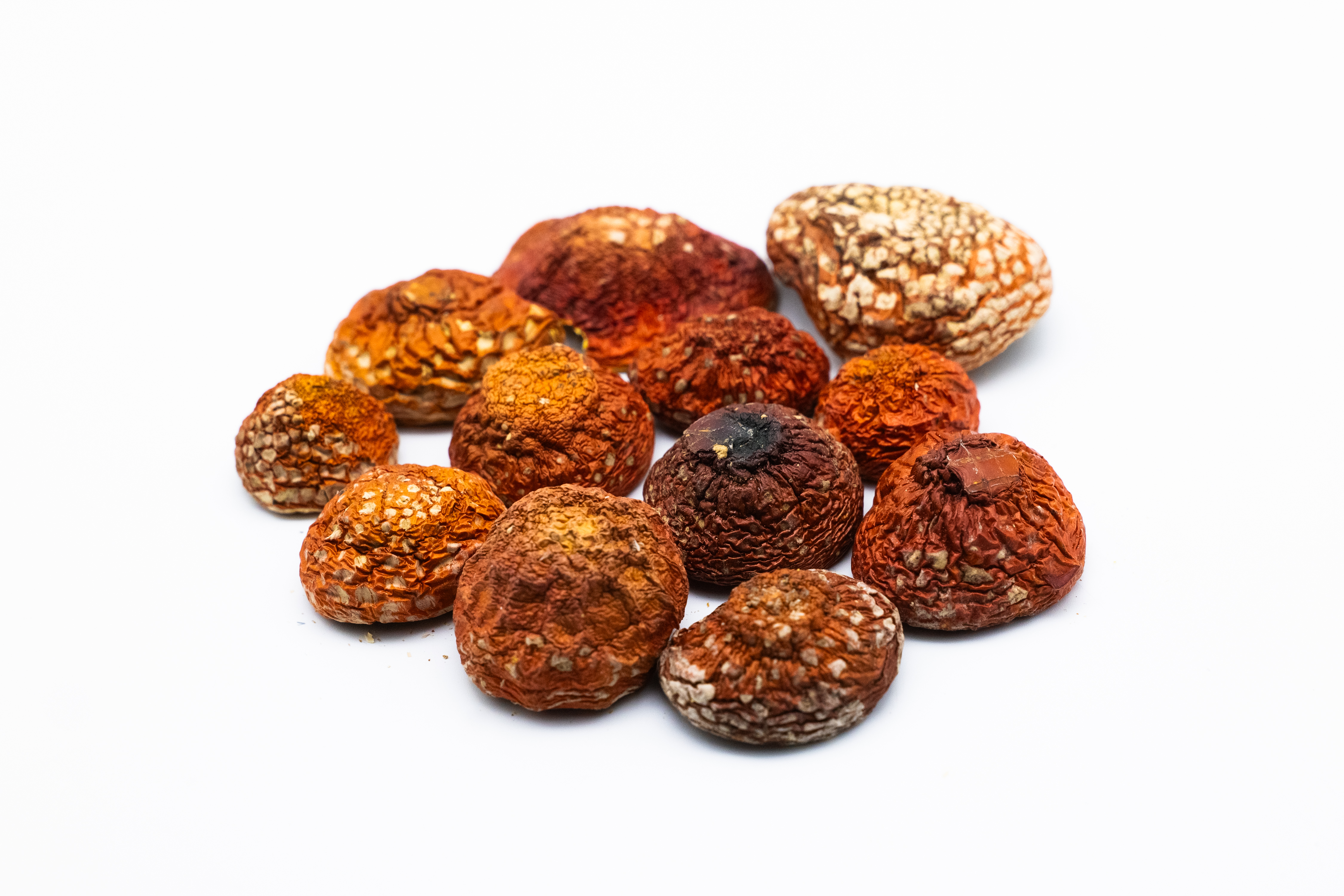 Premium Fliegenpilz Closed Caps (Amanita Muscaria) 